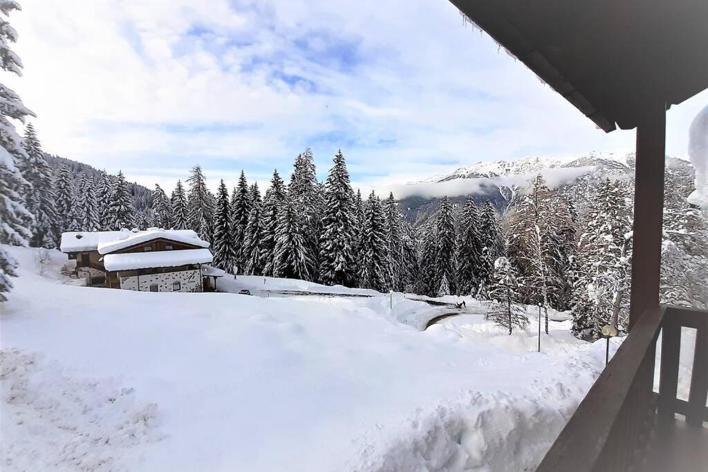 דירות Dream House Quadrifoglio. Sulle Piste Di Folgarida,Madonna Di Campiglio. מראה חיצוני תמונה
